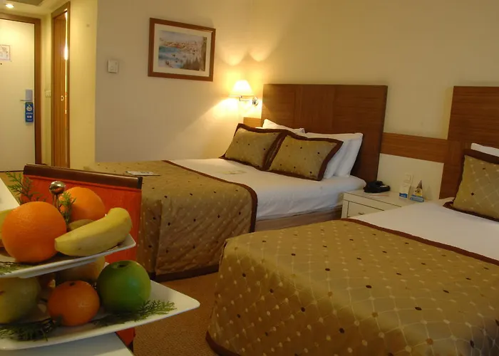 Hotel Dedeman Ankara